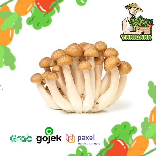 Jual JAMUR SHIMEJI COKLAT PACK/150GR Jakarta Utara TANIBANK Tokopedia