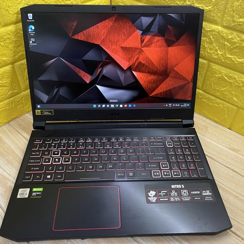 Portátil Acer Nitro 5 AN515-55-55TJ Intel Core I5-10300H/16GB