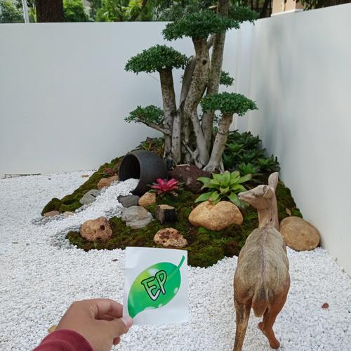 Promo Pembuatan taman minimalis dekorasi taman - Kota Tangerang Selatan