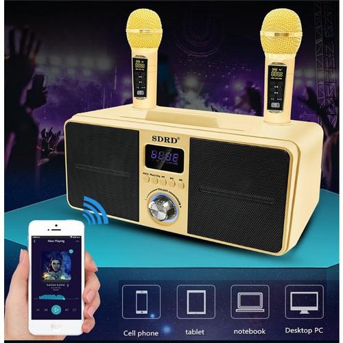 Machine à Karaoké Portable SDRD SD-516 - Bluetooth, 2 Micros, Batterie 60W - Neuf