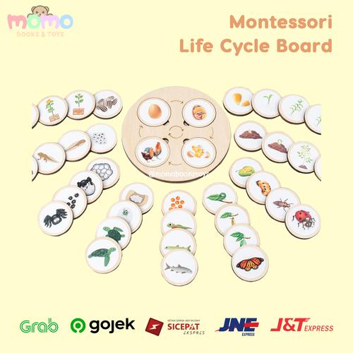 Jual Montessori Life Cycle Board Mainan Edukasi Lingkaran Kehidupan ...