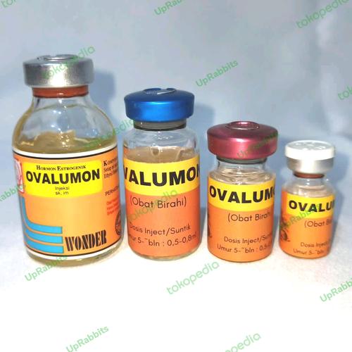 cara pakai ovalumon pada kelinci