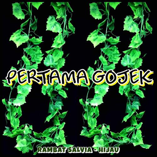Jual DAUN RAMBAT/ BUNGA PLASTIK/ RUMPUT PLASTIK/ FLORAL FOAM SALVIA ...