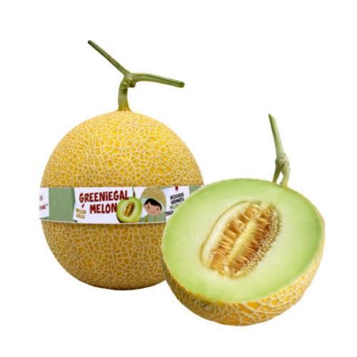 Jual Melon Greeniegal Total Buah Kota Bekasi Total Buah Segar