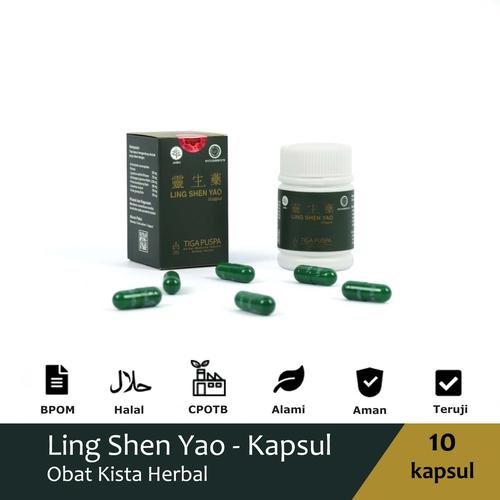 Gambar Obat Miom Herbal Cina LING SHEN YAO Kapsul BANDUNG dari Lingshenyao(Obat Herbal) Kota Bandung Tokopedia