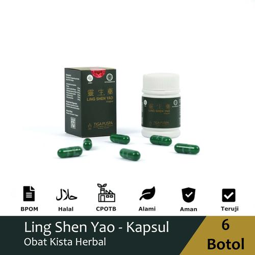 Gambar Obat Kista Herbal CIna LING SHEN YAO Kapsul BANDUNG 6 Botol Diskon 5% dari Lingshenyao(Obat Herbal) Kota Bandung Tokopedia
