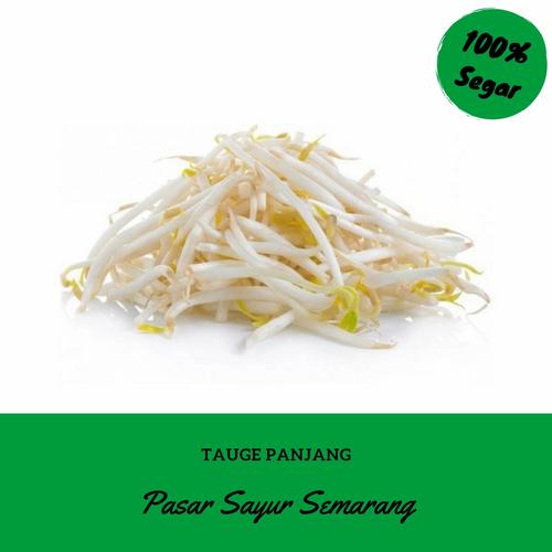 Jual Kecambah Toge Tauge Panjang Segar Fresh 250 Gram Pasar Sayur