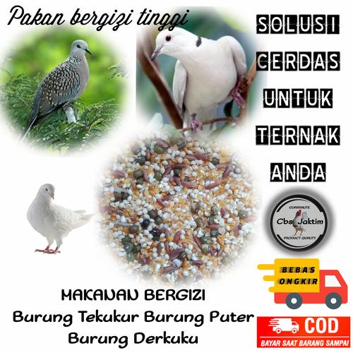 Jual pakan burung tekukur/derkuku/puter pelung bergizi tinggi - Jakarta Timur - CBS_JAKTIM | Tokopedia