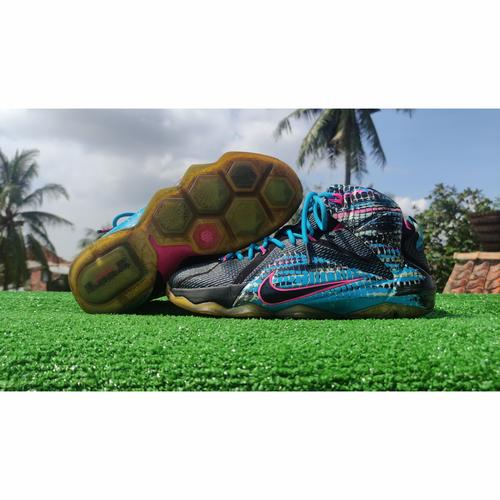 lebron 12 chromosomes for sale