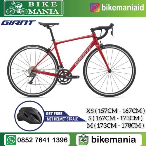 Sepeda Balap Roadbike Giant Contend 