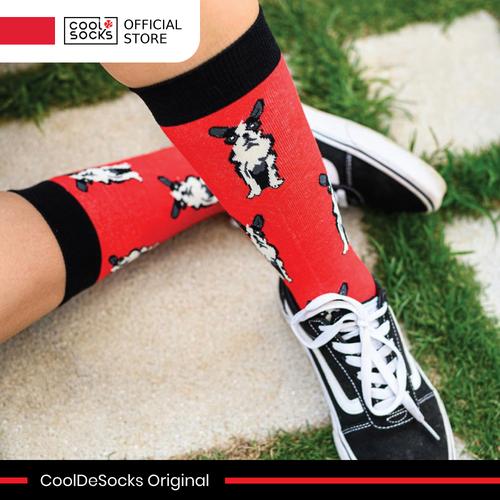 Gambar CoolDeSocks Original | Kaos Kaki Fashion - Boston Terrier dari CoolDeSocks Official Jakarta Barat Tokopedia