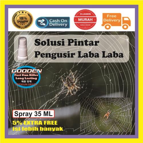 Jual Obat Anti Laba Laba Paling Ampuh, Cairan Racun Semprot Pembunuh ...