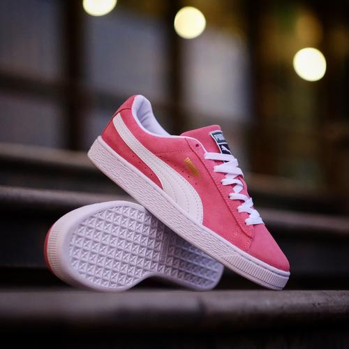 puma white pink