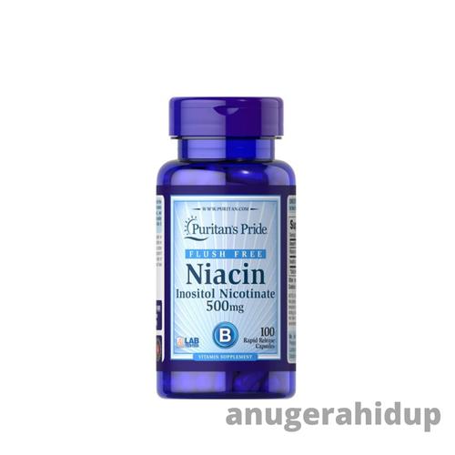 Jual Puritan Pride Flush Free Niacin 500 mg Vitamin B3 ACNE 100