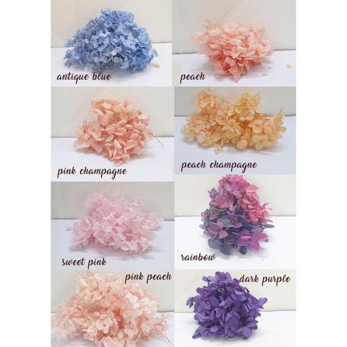 Gambar preserved hydrangea flower in cup 2 gram - sweet pink dari Fleur Jardin Jakarta Barat Tokopedia
