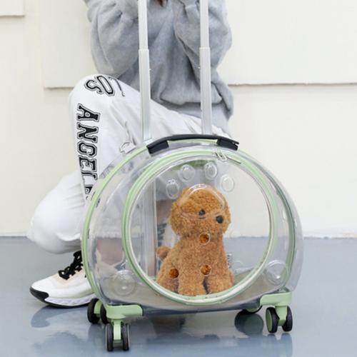 Jual Stroller Trolley Pet Carrier 