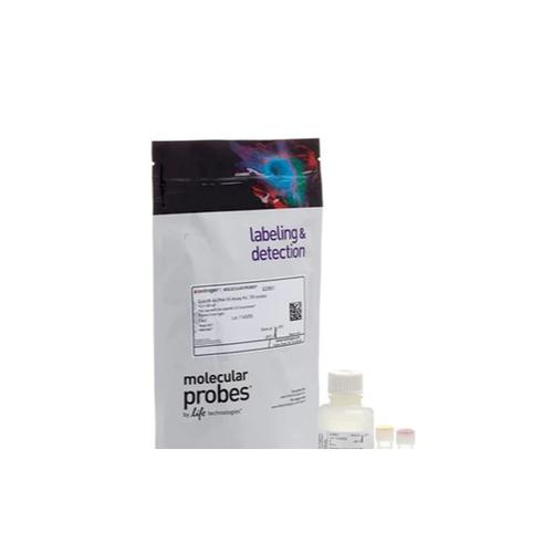 Jual Qubit™ dsDNA HS and BR Assay Kits Q32851 Invitrogen™ Kab