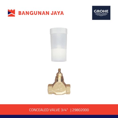 Promo GROHE CONCEALED VALVE 3/4