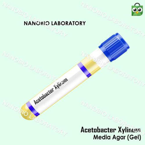 Jual Isolat Culture Acetobacter xylinum Media Gel Agar Media Gel, 50