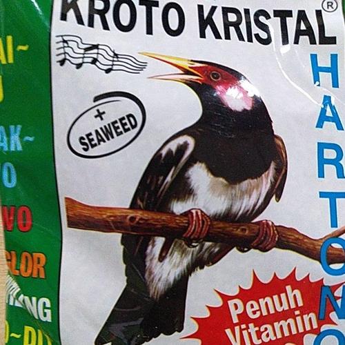 Makanan Burung Kutilang Jual best makanan burung kutilang,trucuk,murai dll/ kroto kristal/ makanan - Jakarta Barat - KicauBird Official | Tokopedia