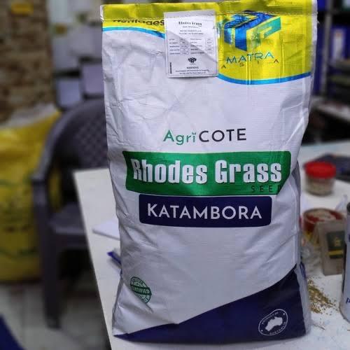 Jual Rhodes grass seed biji rumput rhodes benih rumput rhodes Kab