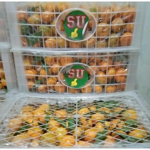 Gambar Santang Daun 1 Keranjang Buah Jeruk 6 kg dari Toko-Buah-88 Jakarta Barat Tokopedia