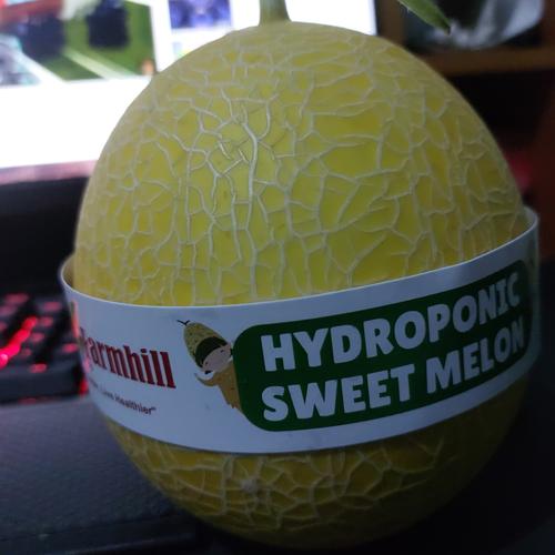 Jual Buah Melon Hidroponik Greeniegal The FarmHill sedang Kota
