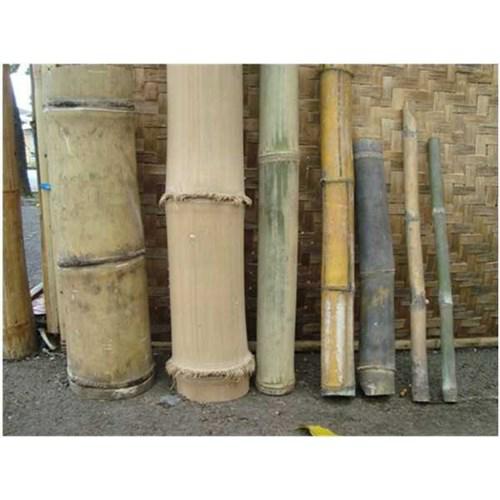 Jual jual bambu betung berbagai ukuran 50-70 cm Pangandaran