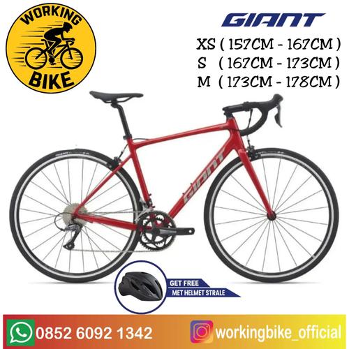Sepeda Balap Roadbike Giant Contend 
