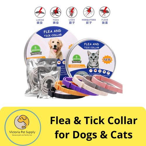 Promo Flea & Tick Collar for Dogs & Cats / Kalung Anti Kutu Anjing