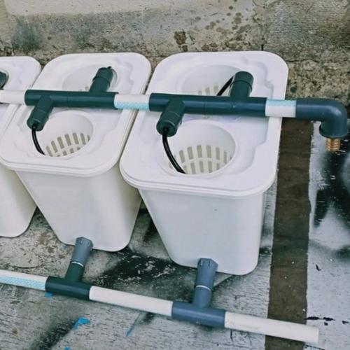 Jual DUTCH BUCKET Sistem Hidroponik Paket Hemat Isi 5Pcs +