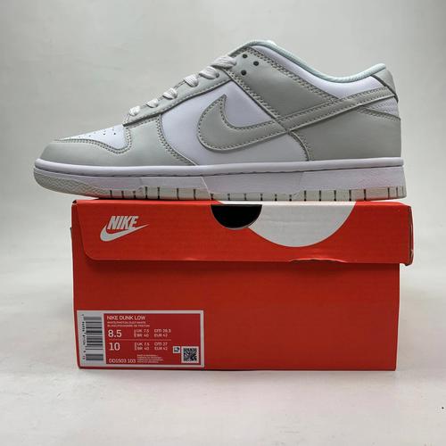 photon dust nike dunk low