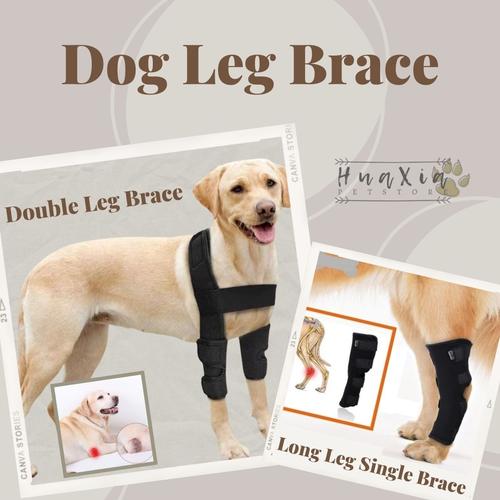 Jual Long Dog Leg Brace/Perban Pemulihan Kaki Anjing Panjang/PET