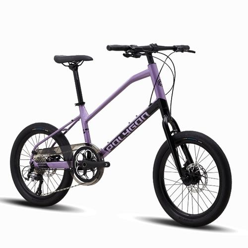 SEPEDA MINI VELO POLYGON ZETA - Brown 