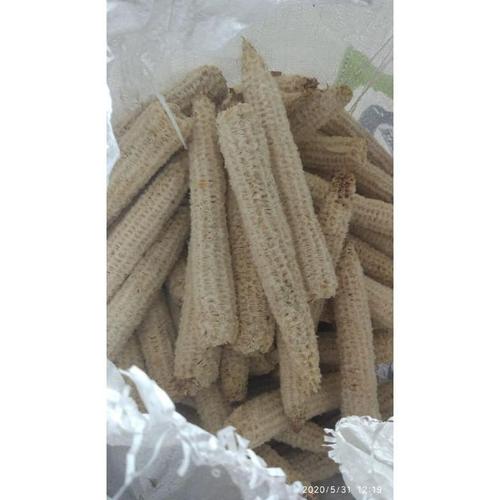Jual TERMURAH... tongkol/BONGGOL/JANGGEL JAGUNG. - Jakarta Barat