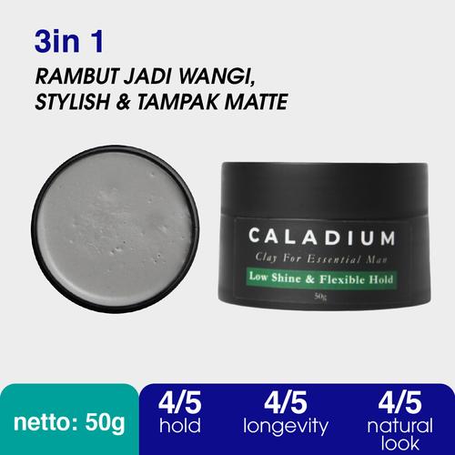 Jual Pomade Clay Rambut yang Bagus 50g. Styling Caladium Hair Clay Pria