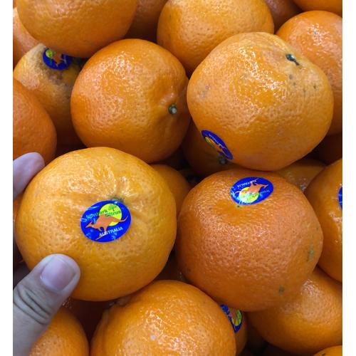 Jual Jeruk Royal Honey Murcot Australia Super 1 kg - Jakarta Barat ...