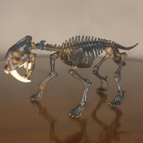 Jual geoworld dig fossil excavation kit smilodon saber tooth museum ...