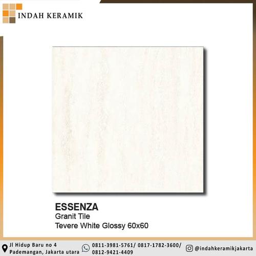 Jual Homogenous Granite tile ESSENZA Tevere White Glossy 60x60