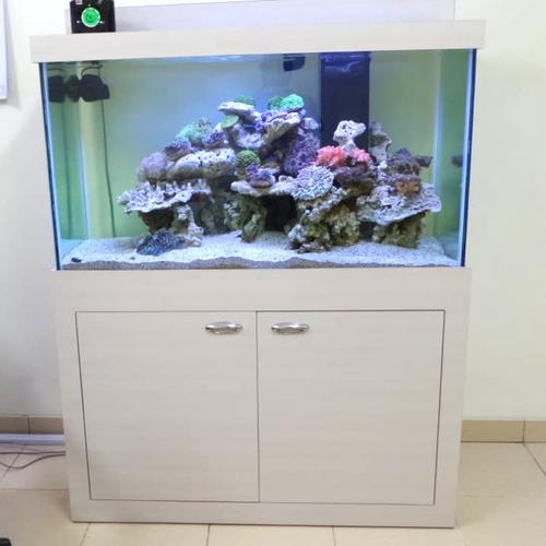 Jual aquarium laut full set Kota Bekasi Glorytattooart Tokopedia