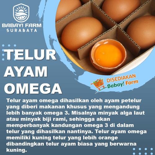 Jual Telur Ayam Negeri Omega 3 / Telor Negri Super Omega 3 10 Butir Kota Surabaya Babay