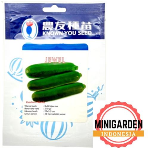 Jual ZUCCHINI JEWEL 50 GRAM PACK BESAR benih biji bibit zukini sukini ...
