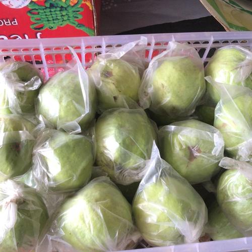 Gambar jambu kristal tanpa biji dari Sumber Buah Serang undefined Tokopedia