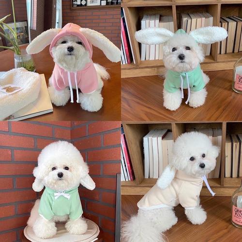 S/M】アイドル転生 Rabbit ear hoodie❤︎F58