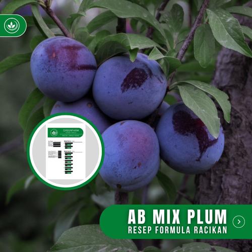 Jual Resep AB Mix Plum Formula Racikan Nutrisi Pupuk Buah Plum - Kab ...