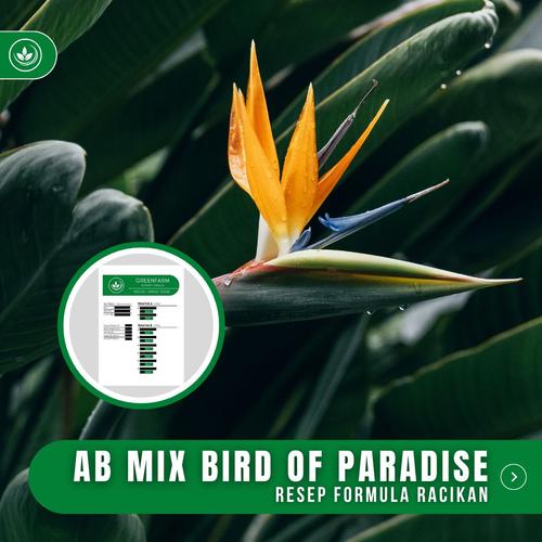 Jual Resep AB Mix Bird Of Paradise Racikan Nutrisi Bunga Cendrawasih ...