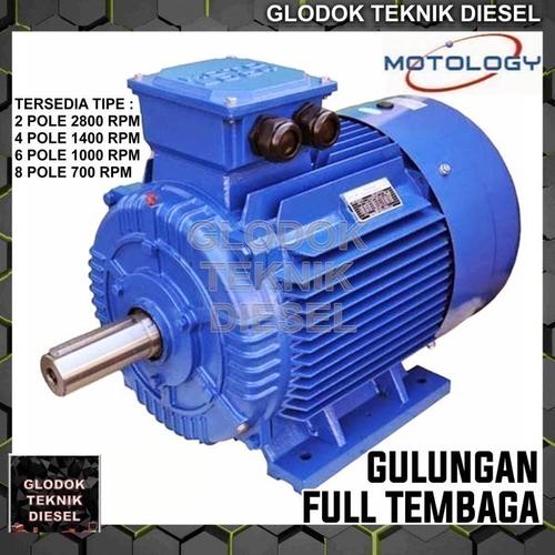 Jual Dinamo Motor 30 HP 22 KW 3000 RPM 3 PHASE 2 POLE Gulungan Tembaga jual-dinamo-motor-30-hp-22-kw-3000-rpm-3-phase-2-pole-gulungan-tembaga