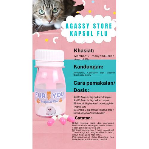Solusi Ampuh Cara Mengobati Flu Kucing Dijamin Cepat Sembuh