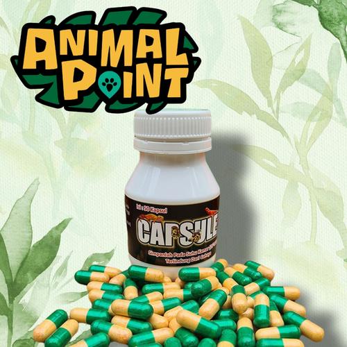 Jual CAPSULE PLUS CAPSULE+ / 25 50 CAPSULE / MENYEMBUHKAN PENYAKIT ...