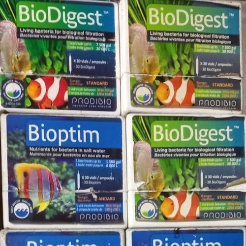 Jual PRODIBIO BIODIGEST LIVING BACTERIA 1 VIAL - Kota Medan ...